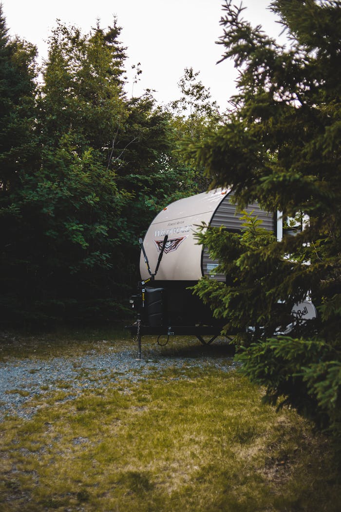 A modern trailer nestled in a tranquil forest setting, ideal for adventurous camping experiences.